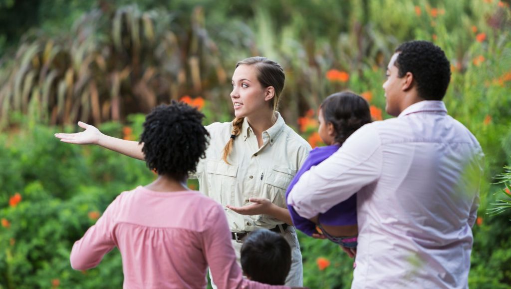 Organized Tours